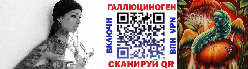 Галлюциногенные грибы Psilocybe  Отрадное 